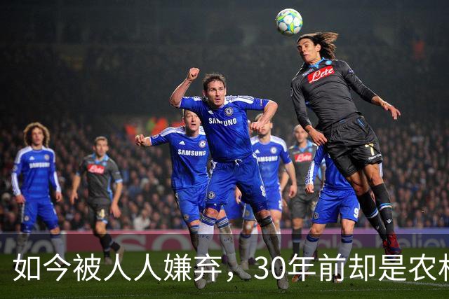 如今被人人嫌弃，30年前却是农村香饽饽，为何如今仍然大量养殖